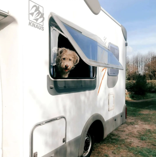 Startseite | Wohnmobile mieten in Berlin bei MioCamper.de