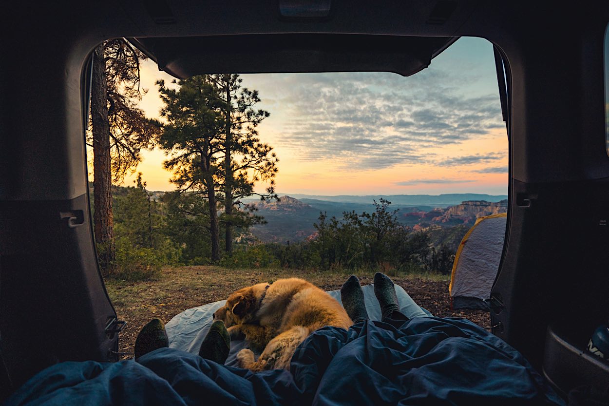 Tipps und Packliste für deinen Campingurlaub mit Hund – mit MioCamper unterwegs | Wohnmobile mieten in Berlin bei MioCamper.de