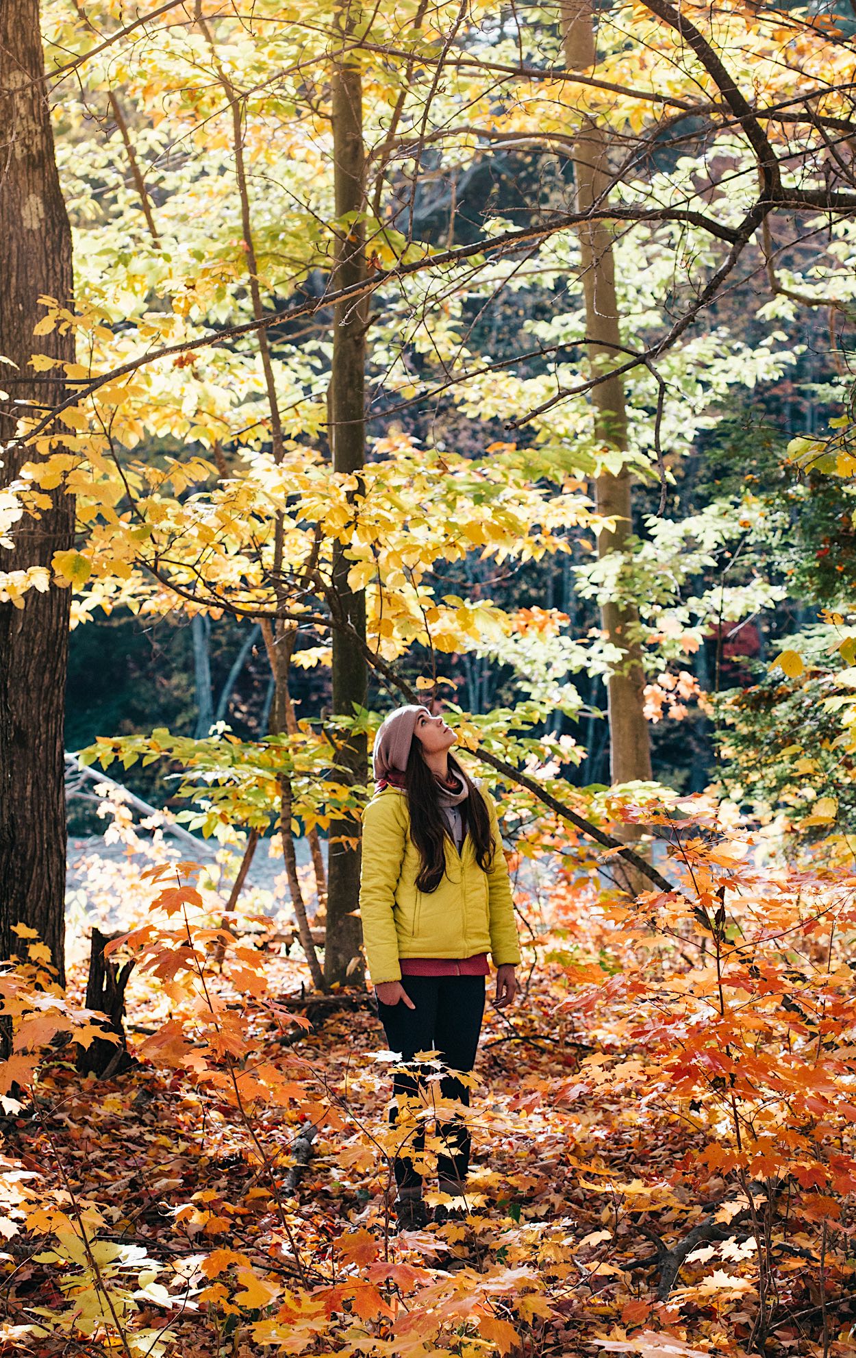Entdecke den Herbst: Warum jetzt die beste Zeit fürs Camping ist! | Wohnmobile mieten in Berlin bei MioCamper.de