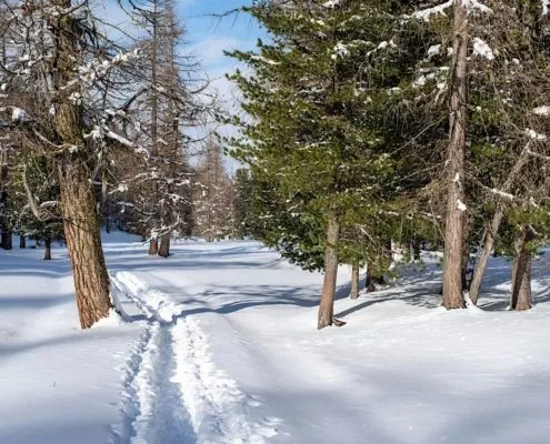 Wintercamping: warm im Camper, kalt im Gesicht – und genau deshalb genial | Wohnmobile mieten in Berlin bei MioCamper.de