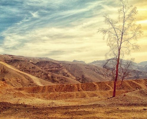 Hitzewelle im Wohnmobil? So bleiben echte Camper cool – die besten Tipps für den Sommer! | Wohnmobile mieten in Berlin bei MioCamper.de