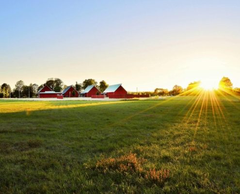 Herbstzauber in Schweden: Mit dem Wohnmobil ins Farbenmeer | Wohnmobile mieten in Berlin bei MioCamper.de Herbstzauber in Schweden: Mit dem Wohnmobil ins Farbenmeer | Wohnmobile mieten in Berlin bei MioCamper.de