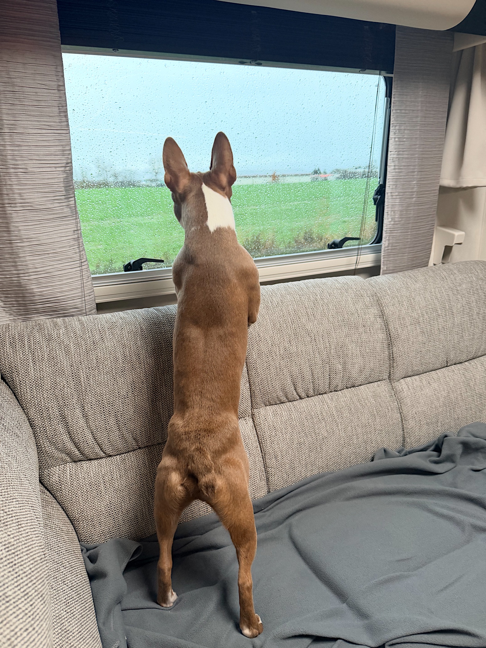 Erfahrungsbericht: Unsere Luxustage mit der Queen Elizabeth | Wohnmobile mieten in Berlin bei MioCamper.de