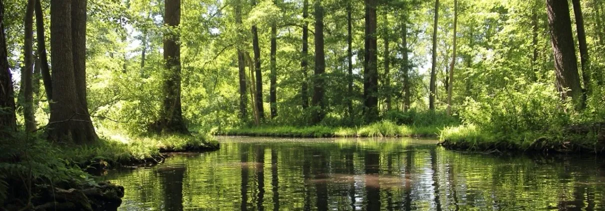 Campingplätze rund um Berlin – Die 10 besten Ziele für deinen Roadtrip | Wohnmobile mieten in Berlin bei MioCamper.de Campingplätze rund um Berlin – Die 10 besten Ziele für deinen Roadtrip | Wohnmobile mieten in Berlin bei MioCamper.de