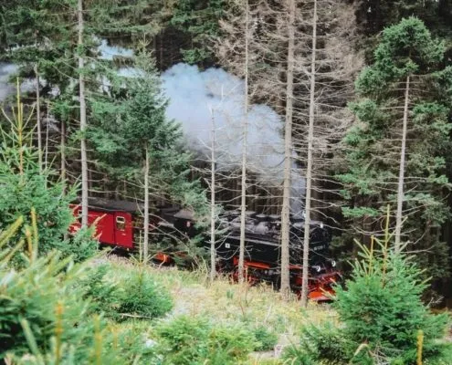 Camping im Harz: Die besten Campingplätze für Wohnmobile | Wohnmobile mieten in Berlin bei MioCamper.de Camping im Harz: Die besten Campingplätze für Wohnmobile | Wohnmobile mieten in Berlin bei MioCamper.de